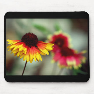 halfdaisy mousepad muismat