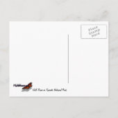 Halfdgetje in de zomer van het Nationaal Park Yose Briefkaart (Achterkant)