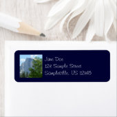 Halfdgetje in de zomer van het Nationaal Park Yose Etiket (Insitu)