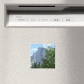 Halfdgetje in de zomer van het Nationaal Park Yose Magneet (Insitu (Vaatwasser))