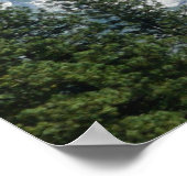 Halfdgetje in de zomer van het Nationaal Park Yose Poster (Hoek)