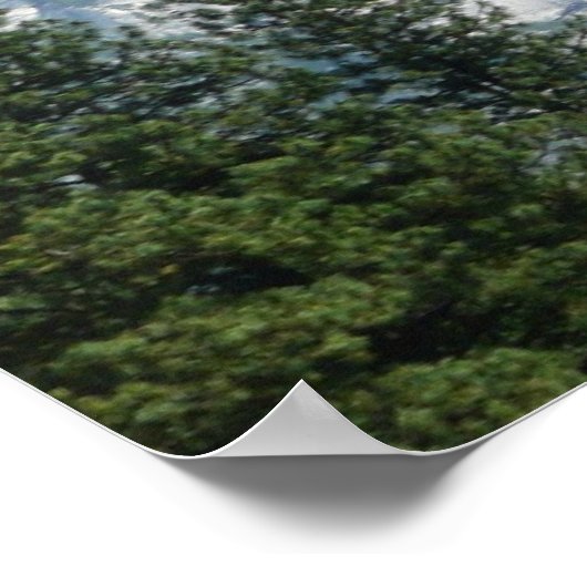 Halfdgetje in de zomer van het Nationaal Park Yose Poster (Hoek)