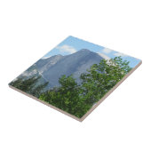 Halfdgetje in de zomer van het Nationaal Park Yose Tegeltje (Zijkant)