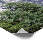 Halfdome Poster (Hoek)