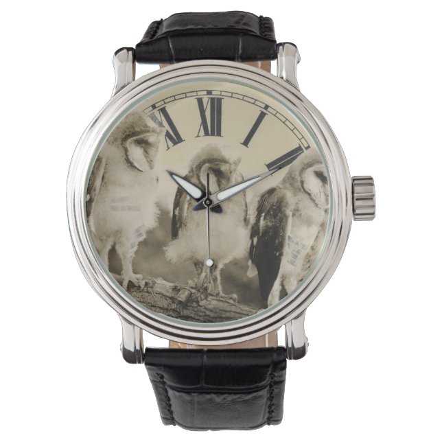 Halfgegroeide uilen horloge (Voorkant)