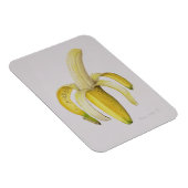 Halfgepelde bananen 1997 magneet (Rechterzijde)