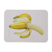 Halfgepelde bananen 1997 magneet (Horizontaal)