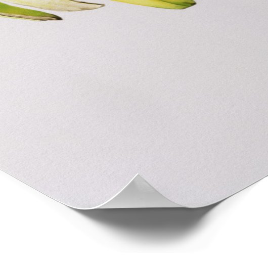 Halfgepelde bananen 1997 poster (Hoek)