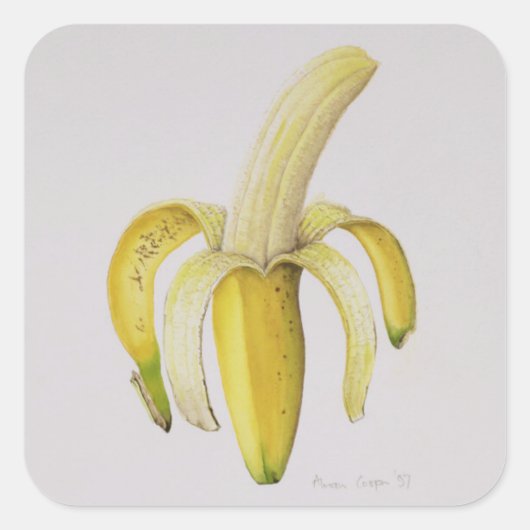 Halfgepelde bananen 1997 vierkante sticker (Voorkant)