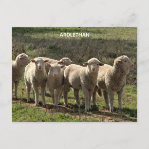 Halfglanzende ansichtkaart briefkaart