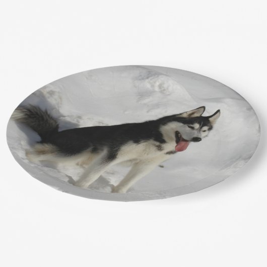 halfhartig papieren bordje (Gekanteld)