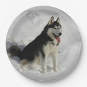 halfhartig papieren bordje (Voorkant)