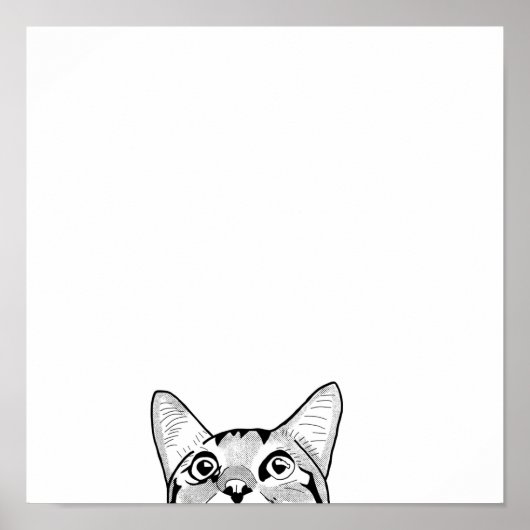 Halfkattengezicht Poster (Voorkant)