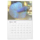 Halfmoon Betta Calendar 2013 van Karen Mac Auley Kalender (Feb 2026)