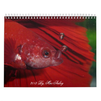 Halfmoon Betta Calendar 2013 van Karen Mac Auley Kalender