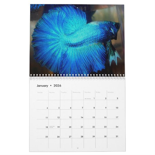 Halfmoon Betta Calendar 2013 van Karen Mac Auley Kalender (Jan 2026)