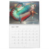 Halfmoon Betta Calendar 2013 van Karen Mac Auley Kalender (Mar 2027)