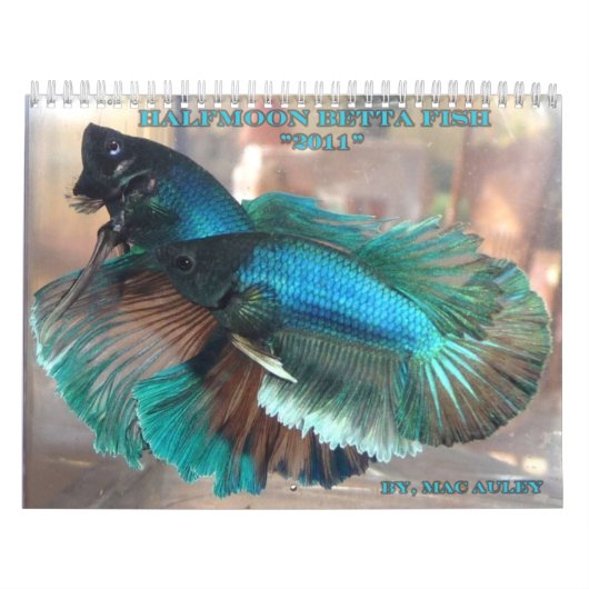 Halfmoon Betta Fish Calendar Kalender (Hoes)
