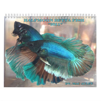 Halfmoon Betta Fish Calendar Kalender