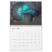 Halfmoon Betta Fish Calendar Kalender (Mar 2027)