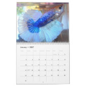 Halfmoon Betta Fish Calendar Kalender (Jan 2027)