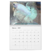Halfmoon Betta Fish Calendar Kalender (Feb 2027)
