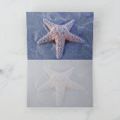 halfondergedompelde Kaart van zeesterren (Binnen)