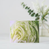 Halfsla 1 briefkaart (Staand voorkant)