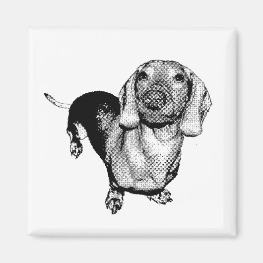 Halftone Black en White Photo Dachsund Doxie Magneet (Voorkant)