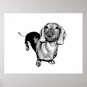 Halftone Black en White Photo Dachsund Doxie Poster