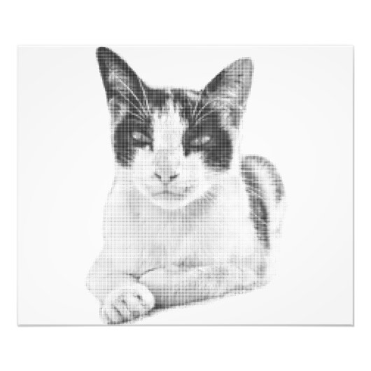 Halftone Kat Foto Afdruk (Voorkant)