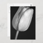 Halftone Tulip Briefkaart (Voorkant / Achterkant)