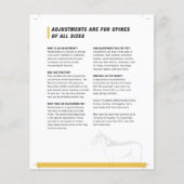 Halfvellen paardachtigen flyer (Voorkant)