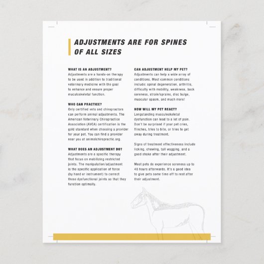 Halfvellen paardachtigen flyer (Voorkant)