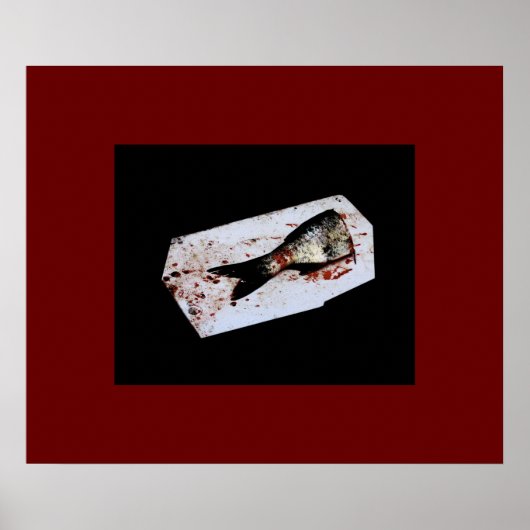 Halfvis Poster (Voorkant)