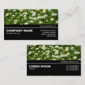 Halfway V3 - Daisy Meadow Visitekaartje (Voorkant / Achterkant)