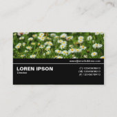 Halfway V3 - Daisy Meadow Visitekaartje (Achterkant)
