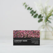 Halfway V3 - Roze Cherry Blossom Visitekaartje (Staand voorkant)