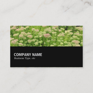 Halfweg 0110 - Blauwe herfst Visitekaartje