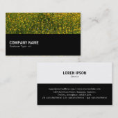 Halfweg 0147 - Bed of Yellow Daisies Visitekaartje (Voorkant / Achterkant)