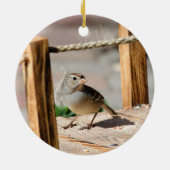 Halfweg over de brug keramisch ornament (Achterkant)