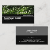 Halfweg V2 026 - Wilde knoflook Visitekaartje (Voorkant / Achterkant)