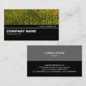 Halfweg V2 028 - Bed of Yellow Daisies Visitekaartje (Voorkant / Achterkant)