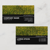 Halfweg V3 037 - Bed of Yellow Daisies Visitekaartje (Voorkant / Achterkant)