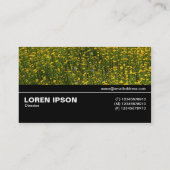Halfweg V3 037 - Bed of Yellow Daisies Visitekaartje (Achterkant)