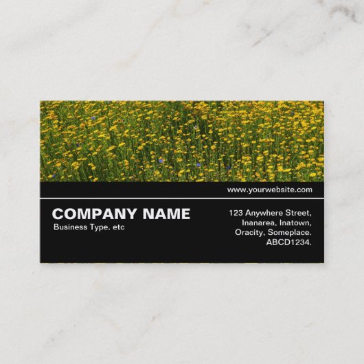 Halfweg V3 037 - Bed of Yellow Daisies Visitekaartje (Voorkant)