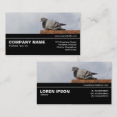 Halfweg V3 041 - Goedemorgen Duif Visitekaartje (Voorkant / Achterkant)