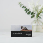 Halfweg V3 041 - Goedemorgen Duif Visitekaartje (Staand voorkant)