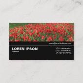 Halfweg V3 044 - Roodbuis 02 Visitekaartje (Achterkant)