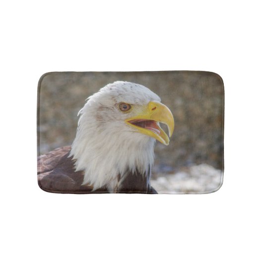 Haliaeetus leucocephalus badmat (Voorkant)